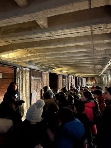 giornata della memoria san luigi primaria gargbagnate milanese