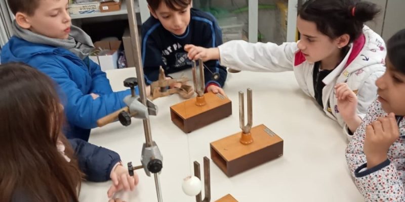 scuola san luigi festival dei talenti 2024 scienze 14